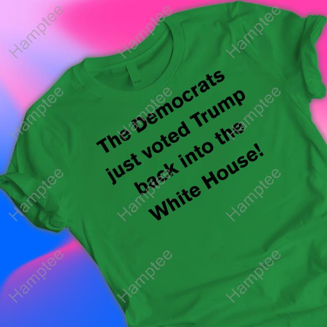 DavidKotiw The Democrats Just Voted Trump Back Into The White House Funny T Shirt