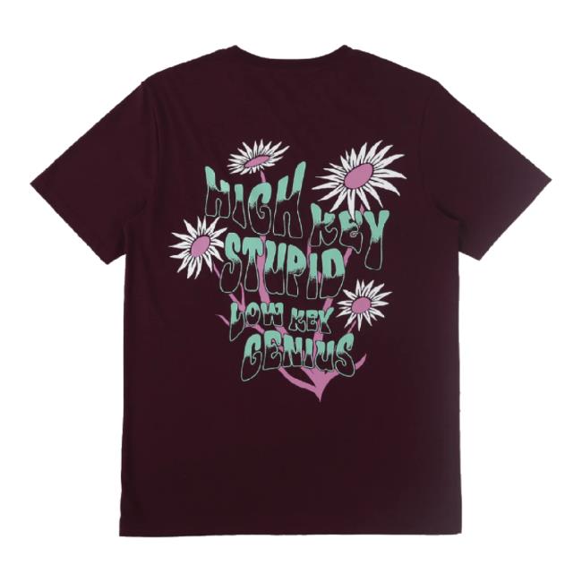 Original Otto By Kris Merch Store High Key Stupid T-Shirt Ottobykris Shop