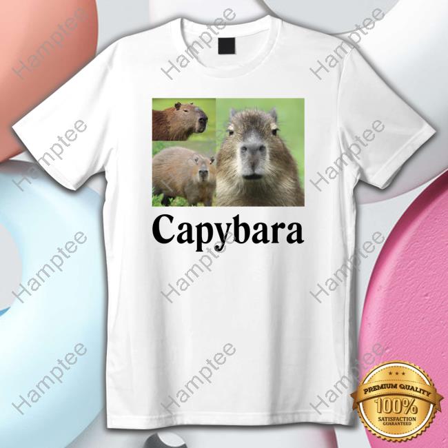 Official Atthemoment Store Capybara Hooded Sweatshirt